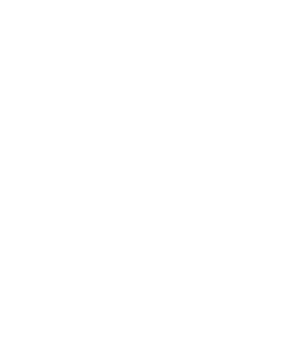 Pulse